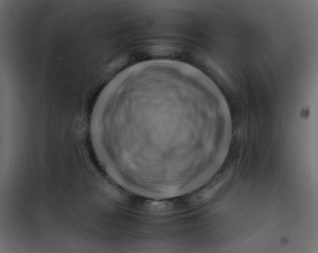 X0000102010277200808081731