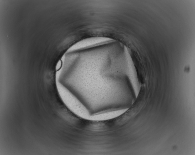 X0000102010278200808081731