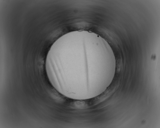 X0000102010279200808081731