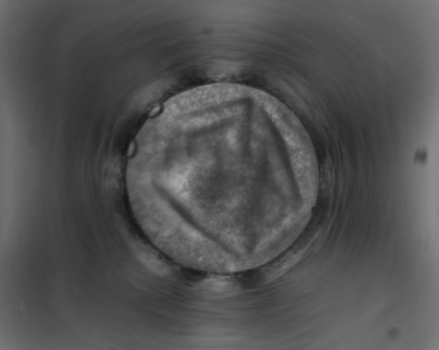 X0000102010280200808081731