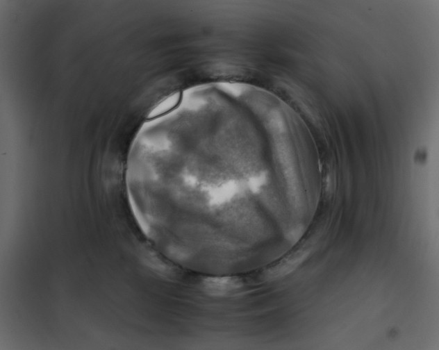 X0000102010281200808081732