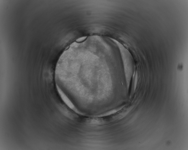 X0000102010282200808081732