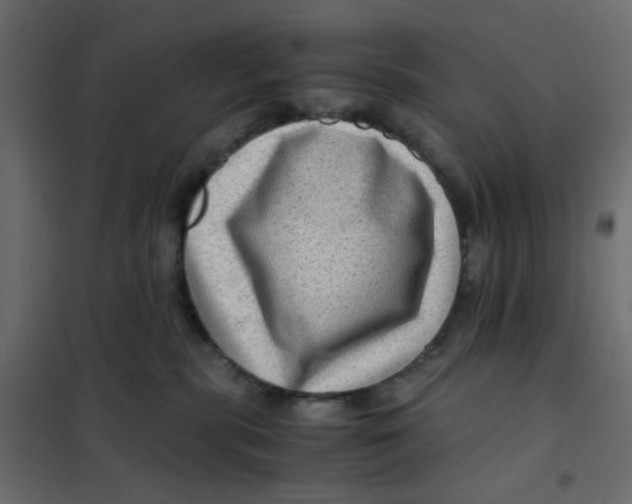 X0000102010283200808081732