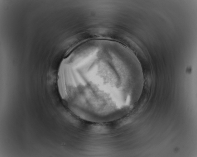 X0000102010284200808081732