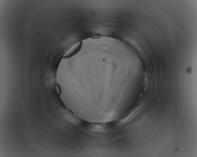 X0000102010285200808081732