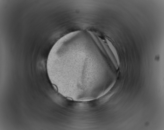 X0000102010286200808081732