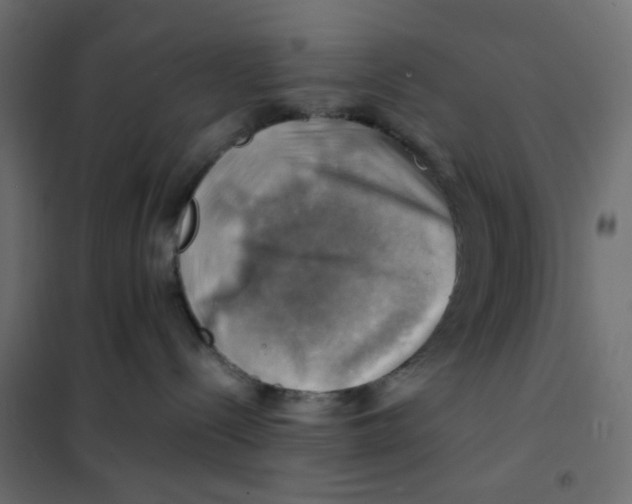 X0000102010288200808081732