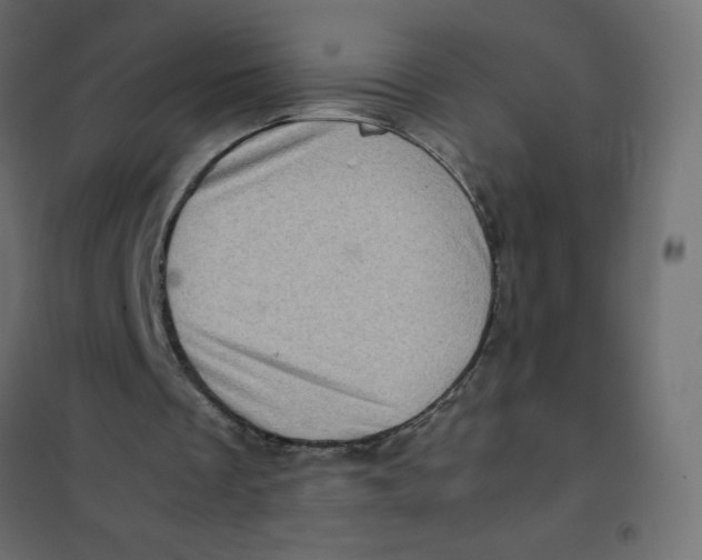 X0000102010289200808081731