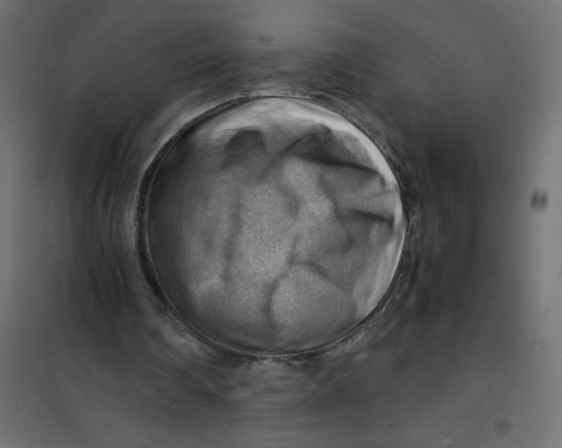 X0000102010290200808081731