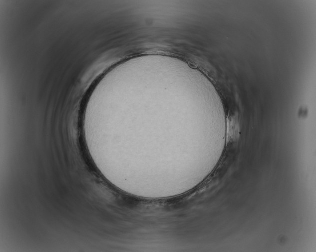 X0000102010291200808081731