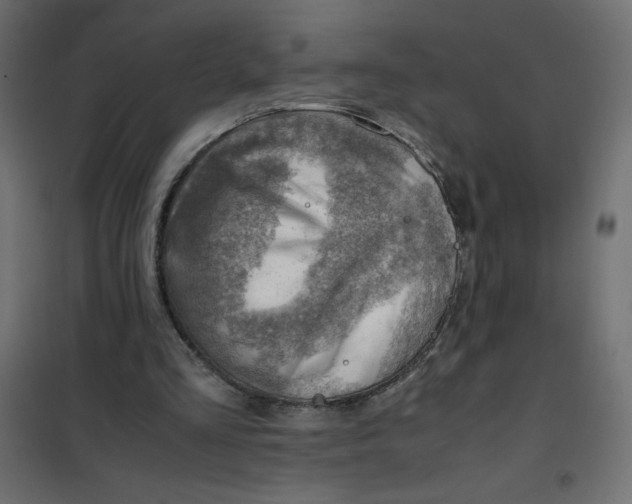 X0000102010293200808081731