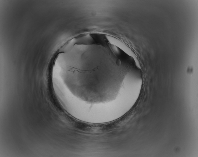 X0000102010295200808081731