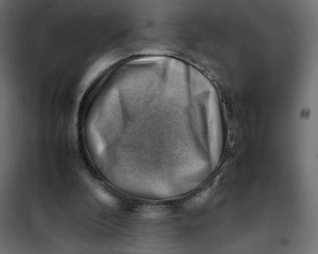 X0000102010296200808081731