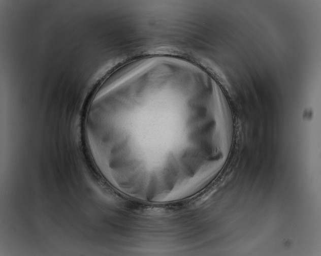 X0000102010298200808081731