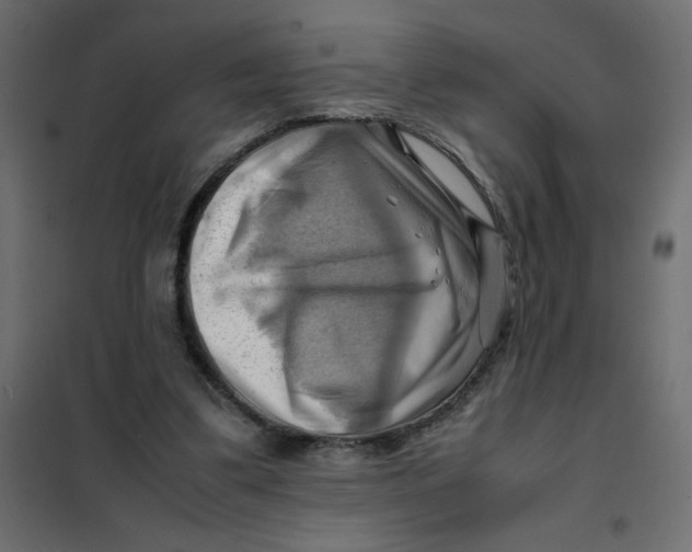 X0000102010299200808081731