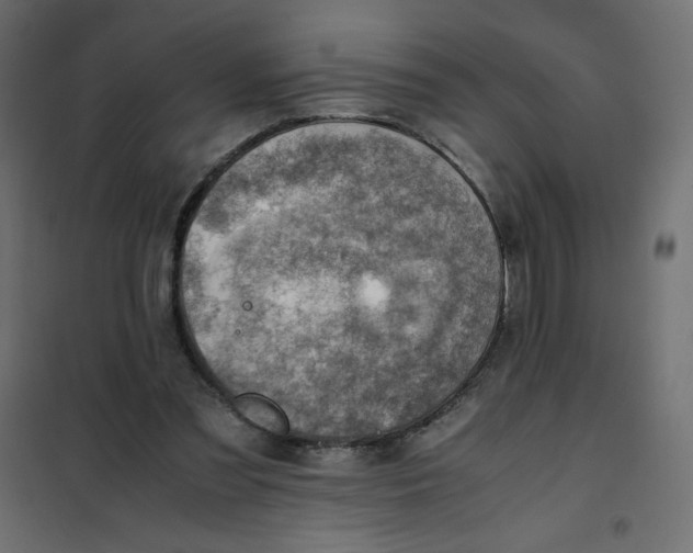 X0000102010301200808081731