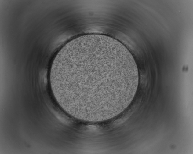 X0000102010302200808081731