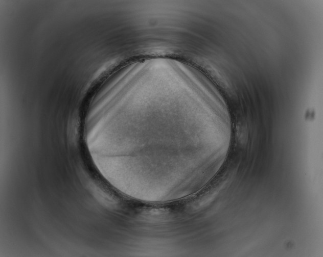 X0000102010304200808081731