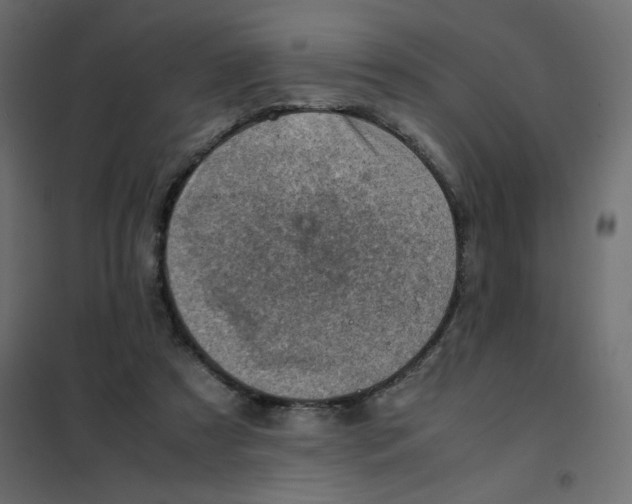 X0000102010305200808081731