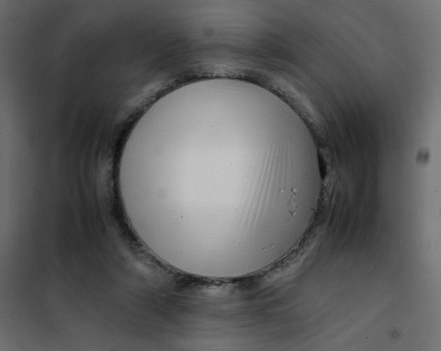 X0000102010306200808081731