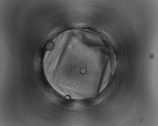 X0000102010308200808081731