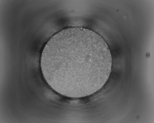 X0000102010309200808081731