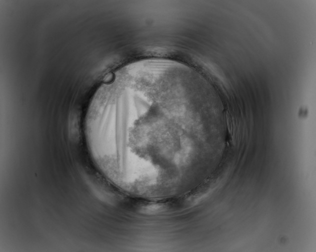 X0000102010312200808081731