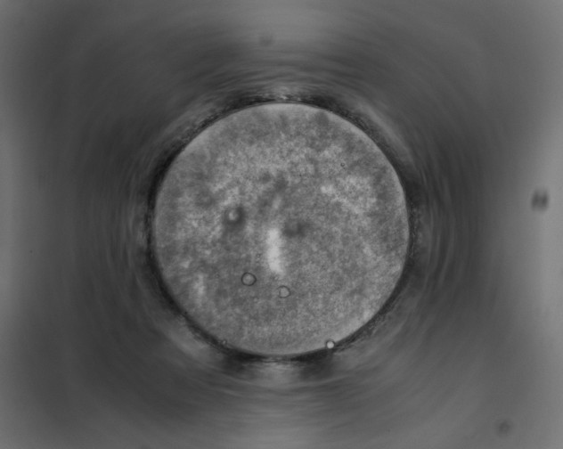 X0000102010313200808081731