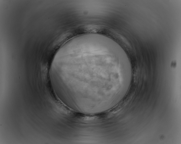 X0000102010314200808081731