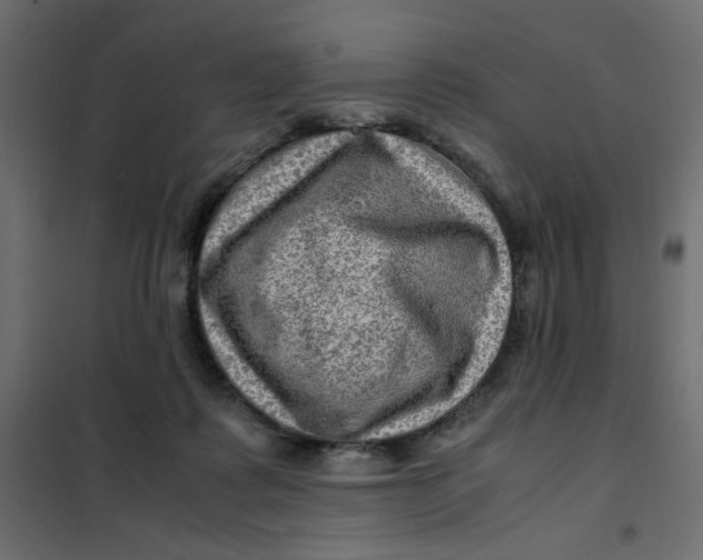 X0000102010315200808081731