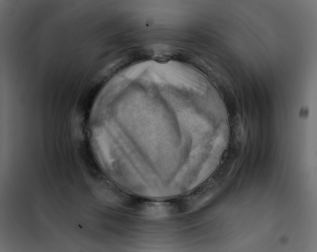 X0000102010316200808081731