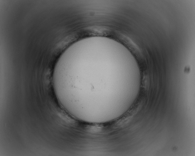 X0000102010318200808081731