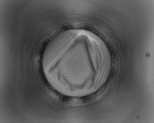 X0000102010319200808081730