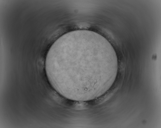 X0000102010321200808081730