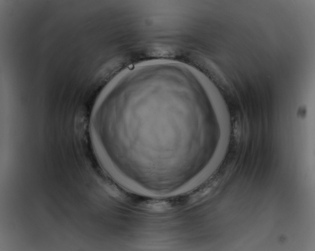 X0000102010322200808081730