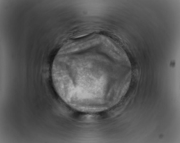 X0000102010323200808081730