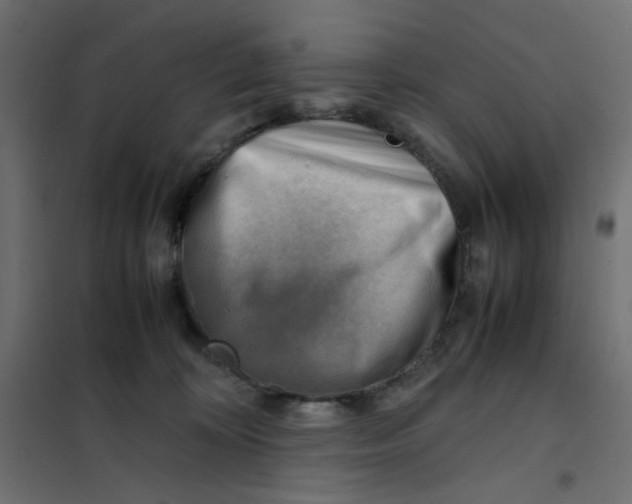 X0000102010324200808081730