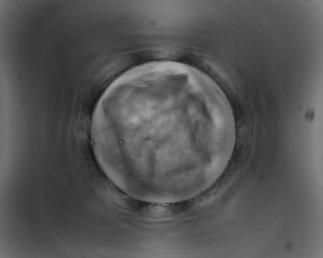 X0000102010325200808081730