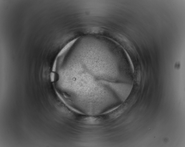 X0000102010326200808081730