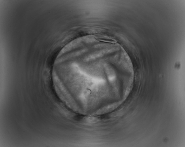 X0000102010327200808081730