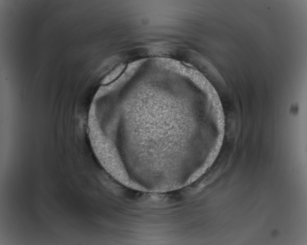 X0000102010329200808081730