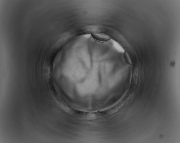 X0000102010330200808081730