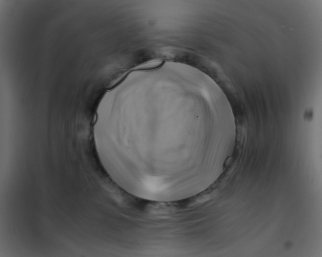 X0000102010331200808081730