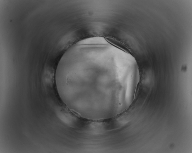 X0000102010332200808081730