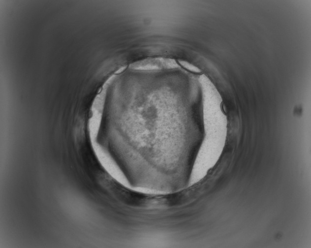 X0000102010333200808081730