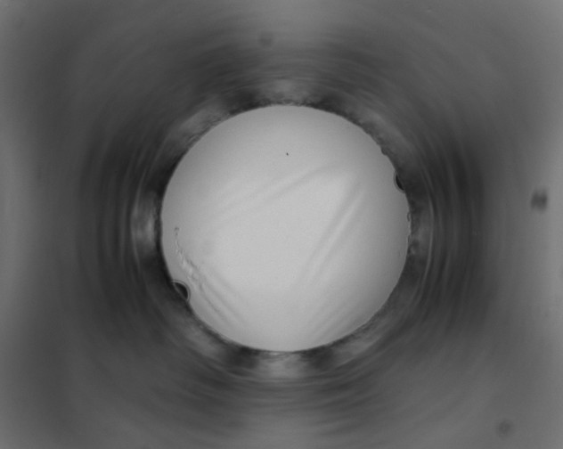 X0000102010334200808081730