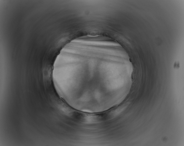 X0000102010336200808081730