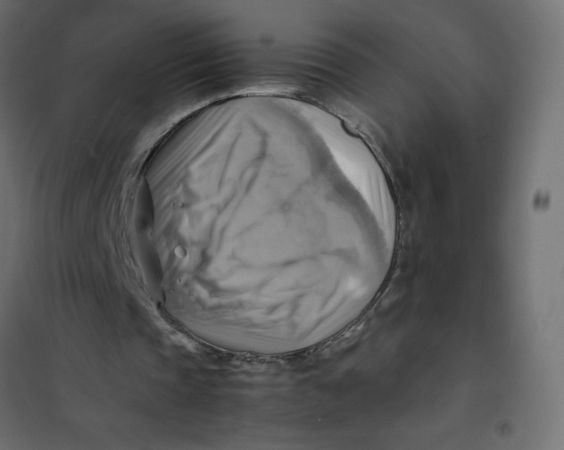 X0000102010337200808081729