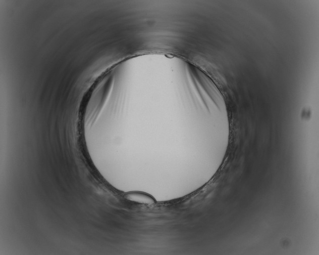 X0000102010338200808081729