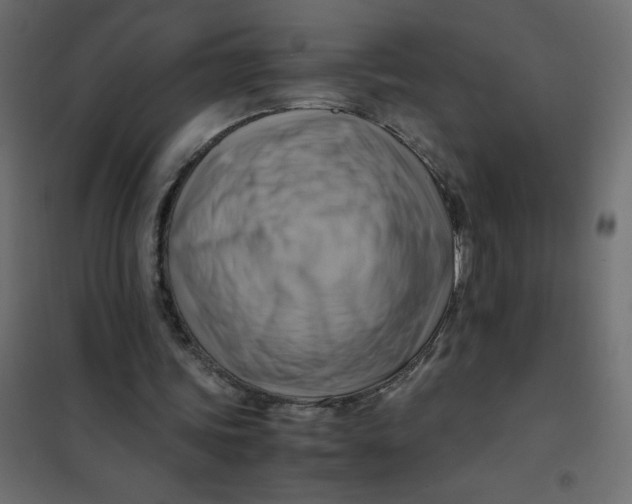 X0000102010339200808081730